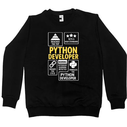 Python DEVELOPER REACHED THE TOP