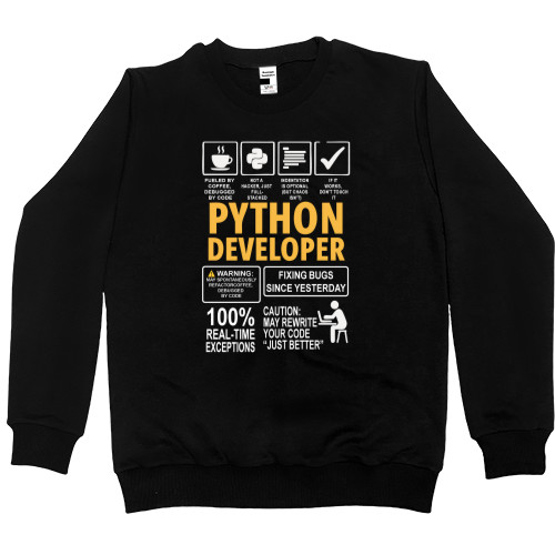 Python DEVELOPER