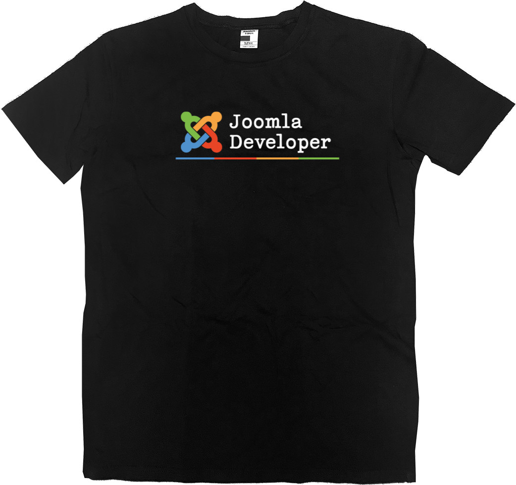 Joomla Developer