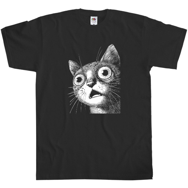 Удивленный кот