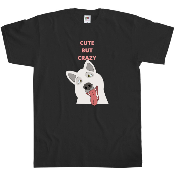 Cute dog Cute dog
