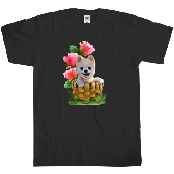 Men's T-Shirt Fruit of the loom - Померанский шпиц - Mfest